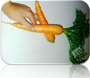 SupaZorb filter bags in an oil separator.